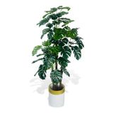 Nettenevime Yapay Çiçek Monstera Yeşil Deve Tabanı 3katlı 135cm 54yaprak Gold Kemerli Beyaz Saksıda Yapay Bitki