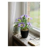 Nettenevime Yapay Çiçek Mor Margarit Papatya Siyah Saksıda Dekoratif Yapay Çiçek 30*25cm