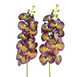 Nettenevime Yapay Çiçek Mor Sarı Çizgi Desenli Islak Orkide Gerçeksi Doku Uzun Dal 90 Cm