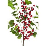 Nettenevime Yapay Çiçek Okaliptus Ve Kokina 90cm Uzun Dal Yeşil