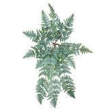 nettenevime Yapay Çiçek Pastel Cycas Aşk Merdiveni 80cm Eğrelti Otu Sıkas Bitkisi 12 Yaprak 40*80cm Yapay Bitki