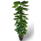 Nettenevime Yapay Çiçek Pothos Salon Sarmaşığı Tropik Salon Bitkisi Yapay Ağaç 165cm