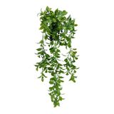 nettenevime Yapay Çiçek Saksıda Sarkan Fejka Yeşil Limon Yaprağı Yapay Sarmaşık 60cm