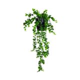 Nettenevime Yapay Çiçek Saksıda Sarkan Şimşir Okaliptus Yapay Sarmaşık 56cm Siyah Saksıda