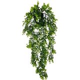 Nettenevime Yapay Çiçek Saksıda Sarkan Şimşir Okaliptus Yapay Sarmaşık 60CM - Su Yeşili