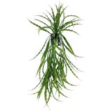 nettenevime Yapay Çiçek Saksıda Sarkan Yeşil Kıvrımlı Saz 90cm
