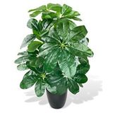 Nettenevime Yapay Çiçek Saksıda Şeflera Bitkisi 18dal 75cm Salon Çiçeği Yapay Bitki Pachira Macrocarpa Yeşil