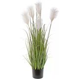 nettenevime Yapay Çiçek Saksılı Salon Bitkisi Beyaz Püskül Grass Panpas