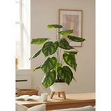 Nettenevime Yapay Çiçek Salon Bitkisi Difenbahya 70cm 18 Yaprak Beyaz Zigon Saksıda Yeşil