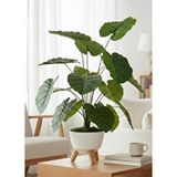 Nettenevime Yapay Çiçek Salon Bitkisi Pothos 70cm 18 Yaprak Beyaz Zigon Saksıda Yeşil