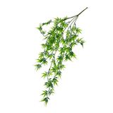 nettenevime Yapay Çiçek Sarkan Bambu 60cm 5Dallı ty123 Yapay Sarmaşık Yeşil