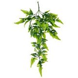 Nettenevime Yapay Çiçek Sarkan Boston Fern 60cm 5dallı Ty124 Yapay Sarmaşık Yeşil Renksiz