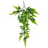 nettenevime Yapay Çiçek Sarkan Boston Fern 60cm 5Dallı ty124 Yapay Sarmaşık Yeşil
