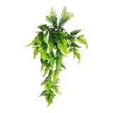 nettenevime Yapay Çiçek Sarkan Boston Fern Yapraklı Bitki Küçük Siyah Saksıda Yapay Sarmaşık 55cm