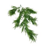 nettenevime Yapay Çiçek Sarkan Çiçek Yeşil Fern723 Yapay Sarmaşık 70*30cm UV Katkılı Güneşe Dayanıklı