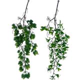 Nettenevime Yapay Çiçek Sarkan Doğal Dallı 2li Set Mix Kozalak Çiçeği Ve Fejka 70cm Yapay Sarmaşık Yeşil