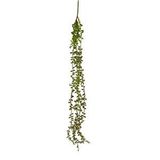 Nettenevime Yapay Çiçek Sarkan Kahverengi Detaylı String Okaliptus Skulent 70cm 5dal Renksiz