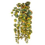 Nettenevime Yapay Çiçek Sarkan Lüx Okaliptus Sonbahar Rengi Yapay Sarmaşık 60*25cm