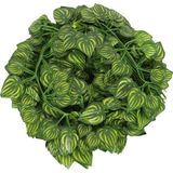 nettenevime Yapay Çiçek Sarmaşık 12 li Paket 230 cm