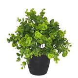 Nettenevime Yapay Çiçek Şimşir Eucalyptus Yapay Bitki Siyah Plastik Saksılı Dekoratif Süs Çiçeği Yeşil