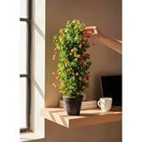 Nettenevime Yapay Çiçek Siyah Saksıda Turuncu Lotuslu Yeşil Şimşir Ağacı 70*30cm