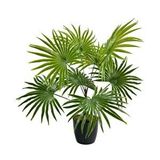 Nettenevime Yapay Çiçek Yelpaze Palmiye 8 Dal 50*40cm Salon Çiçeği Plastik Siyah Saksılı Yapay Bitki Yeşil