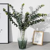 nettenevime Yapay Çiçek Yeşil Okaliptus 3Dallı Uzun Dal 76cm Eucalyptus