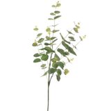 Nettenevime Yapay Çiçek Yeşil Okaliptus 90cm 5dallı Uzun Dal Eucalyptus