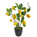 Nettenevime Yapay Limon Ağacı 40Cm Gerçek Doku Siyah Plastik Saksılı Dekoratif Süs Çiçeği