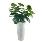 nettenevime Yapay Monstera Beyaz Uzun Kumsal Vazoda 120cm 36Yaprak