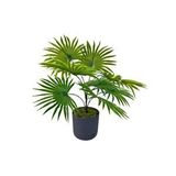 Nettenevime Yapay Salon Bitkisi Fan Palmiye 50*40cm 8yaprak Plastik Antrasit Saksıda Yeşil