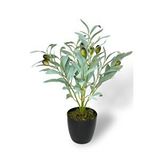 Nettenevime Yapay Zeytin Ağacı Saksıda 40cm 5 Dallı 10 Meyveli Pastel Yapay Çiçek Artificial Olive Yeşil