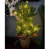 nettenevime Yılbaşı Ağacı Led Işıklı Yapay Çam Ağacı Kraft Saksıda 55cm