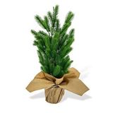Nettenevime Yılbaşı Ağacı Yapay Çam Ağacı Kraft Saksıda 55cm Yeşil