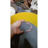 Netx Ab Akvaryum Bitki Kumu Siyah 1,5 Mm 10Kg