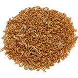 NetX Gammarus 50 Gr Kaplumbağa ve Balık Yemi