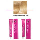 Neva Color 12.03 Yoğun Altın Süper Açıcı 2x50 gr Tüp Saç Boyası