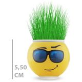 Neva Prime Çim Adam Saksı Emoji Figürlü 1 Adet