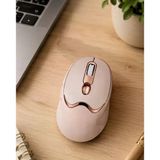 Nevamel® Şarjlı Kablosuz Mouse Sessiz Tıklama Bluetooth Ve Usb Destekli