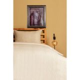 Nevresim Takım 5 Renk - Pamuk Saten Çizgili Nevresim Takım Çift Kişilik Çarşaf + 2yastık +Nevresim - Cappuccino - 200 x 220 cm