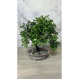 NEVVALİFE Bonsai Modeli Saksıda Modern Tasarım Yapay Çiçek, Mini Dikdörtgen Saksıda Taş Dolgulu Dekoratif Yapay Bitki, Ev, Ofis, Çalışma Masası İçin Estetik Modern Masaüstü Süsü