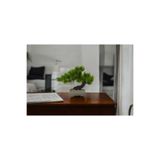 NEVVALİFE Bonsai Yapay Çiçek Ağacı Modern Tasarım, Mini Dikdörtgen Saksıda Taş Dolgulu Dekoratif Yapay Bitki, Ev, Ofis, Çalışma Masası İçin Estetik Modern Masaüstü Süsü