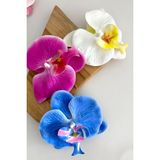 New Obsessions 3 Adet Aloha orkide çiçeği Floral Çift Pens Toka