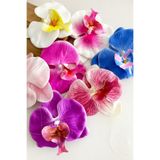 New Obsessions Karışık Renk- 6 Adet Aloha Orkide Çiçeği Floral Pens Toka