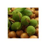 NEW RAW MATERIALS Makademya Fındık Yağı 500 gr