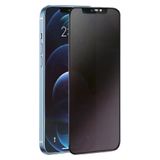 Newface Samsung Galaxy S24 Plus 3d Antistatik Hayalet Cam Ekran Koruyucu