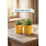 NeWme 2’li Seramik Saksı (Kalemlik,Fırçalık,Masa Organizeri) / Modern Dekoratif El Yapımı Tasarım (SARI)