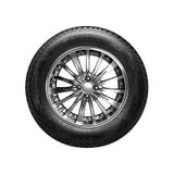 Nexen 225/55R16 99W XL N Blue 4Season 2 Dört Mevsim Lastiği 2026