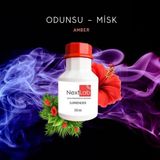 Nextlab Surrender Ortam Kokulandırma Esansı – Odunsu & Misk & Amber (350 Ml) - renk - Beyaz