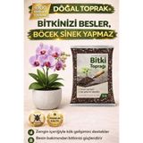 NEXVORİA 5 LT Bitki Toprağı - Premium Karışım , Böcek Yapmaz , Ev & Salon Bitkileri İçin